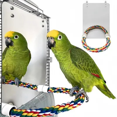 ZooVenture Miroir et jouets pour oiseaux