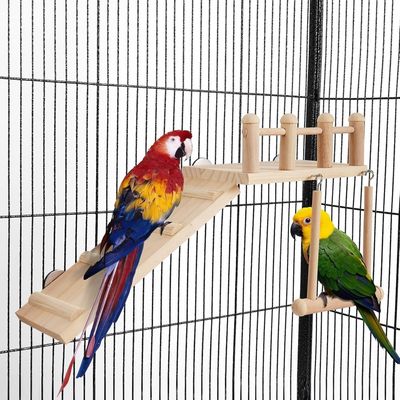 ZooVenture Perchas y juguetes para animales pequeños y pájaros
