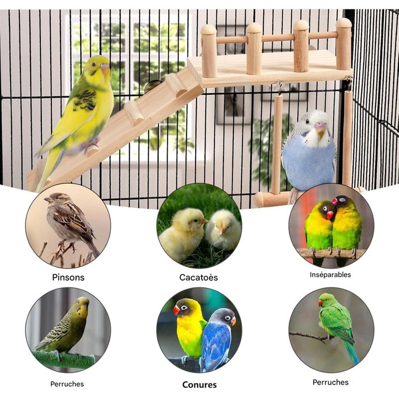 ZooVenture Perchoirs et jouets pour petits animaux et oiseaux