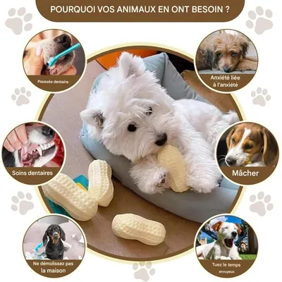 ZooVenture Juguetes masticables de cacahuete para perros