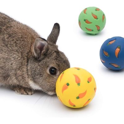 ZooVenture Balles de friandises pour petits animaux