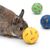 ZooVenture Balles de friandises pour petits animaux