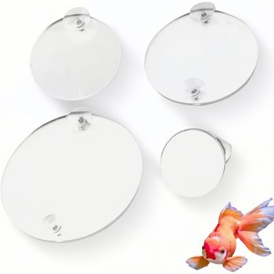 ZooVenture Miroirs d'entraînement pour Betta