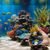 ZooVenture Miroirs d'entraînement pour Betta