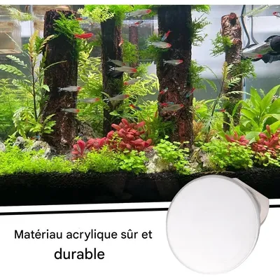 ZooVenture Miroirs d'entraînement pour Betta