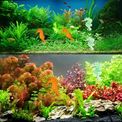 ZooVenture Ornement hippocampe artificiel pour aquarium