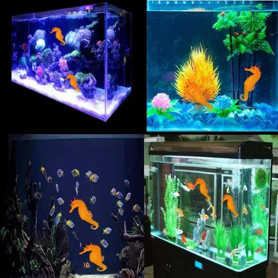 ZooVenture Ornement hippocampe artificiel pour aquarium