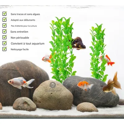 ZooVenture Set de plantes artificielles pour aquarium