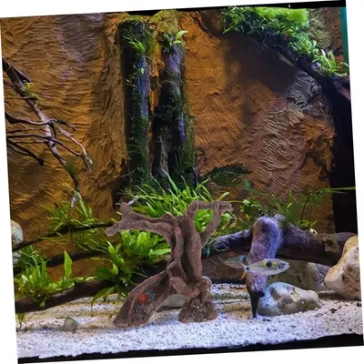 ZooVenture Décoration en résine pour aquarium et terrarium reptiles