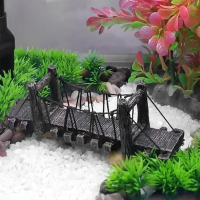 ZooVenture Pont décoratif pour aquarium poissons combattants
