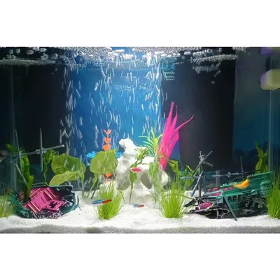 ZooVenture Ornement d'épave navire aquatique