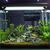 ZooVenture Décoration multifonctionnelle pour aquarium poissons
