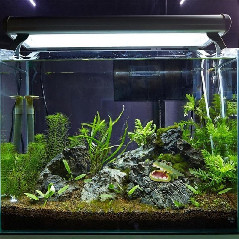 ZooVenture Décoration multifonctionnelle pour aquarium poissons