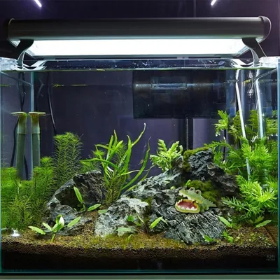 ZooVenture Décoration multifonctionnelle pour aquarium poissons