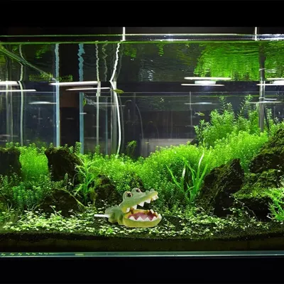 ZooVenture Décoration multifonctionnelle pour aquarium poissons