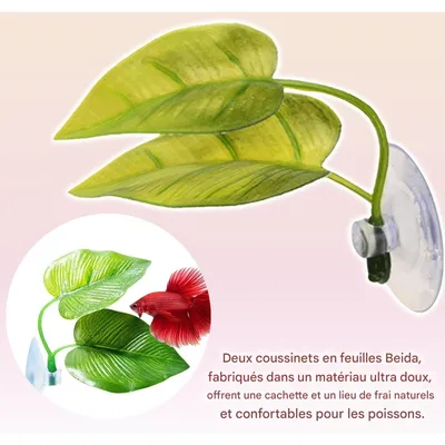 ZooVenture Hamacs pour poisson Betta