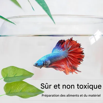 ZooVenture Hamacs pour poisson Betta