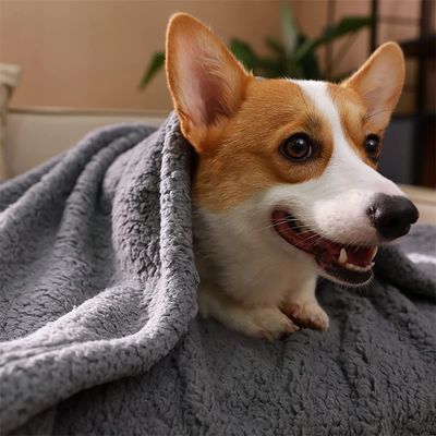 IntiMeg Manta de felpa para perros y gatos - Gris