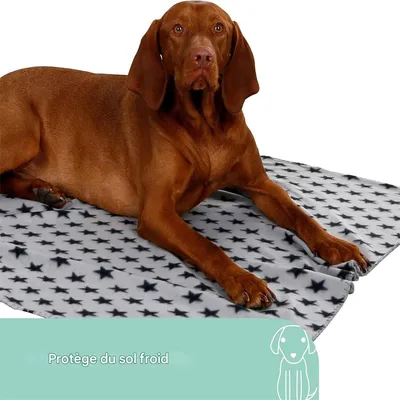IntiMeg Couverture pour chien - Motif en étoile