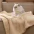 IntiMeg Plüschdecke für Hunde und Katzen – Beige