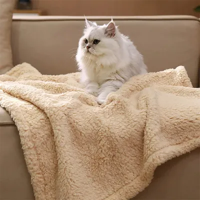 IntiMeg Plüschdecke für Hunde und Katzen – Beige