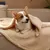 IntiMeg Plüschdecke für Hunde und Katzen – Beige