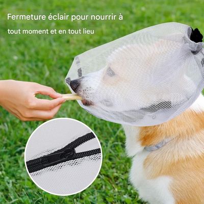 ZooVenture Ensemble de protection pour chien