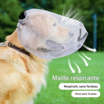 ZooVenture Ensemble de protection pour chien
