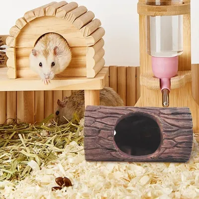 ZooVenture Bûche de cachette pour reptiles