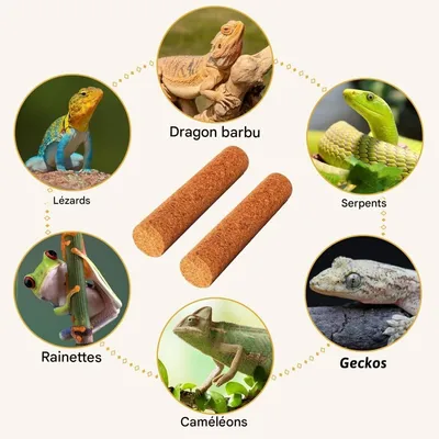 ZooVenture Branches en bois mou pour Petits Animaux