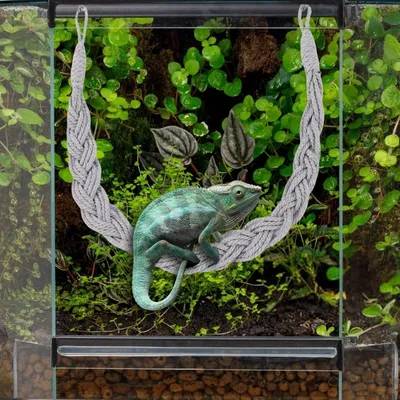 ZooVenture Échelle d'escalade en corde de jute pour reptiles