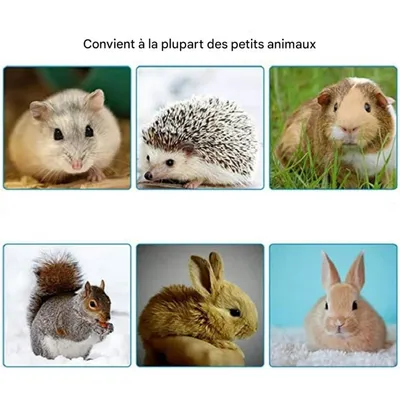 ZooVenture Tente, hamac et cachette pour petits animaux