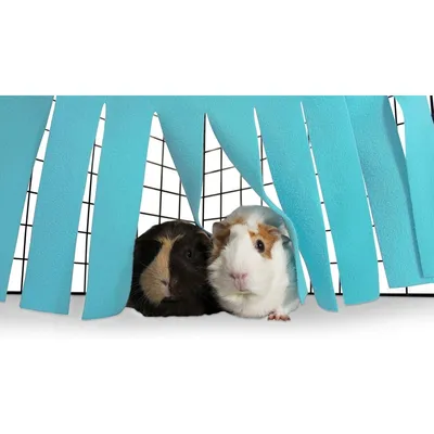 ZooVenture Tente, hamac et cachette pour petits animaux