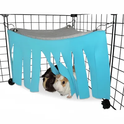 ZooVenture Tente, hamac et cachette pour petits animaux