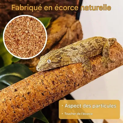ZooVenture Branches en bois mou pour Petits Animaux