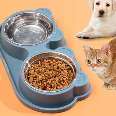 Gamelle à eau et nourriture pour chat