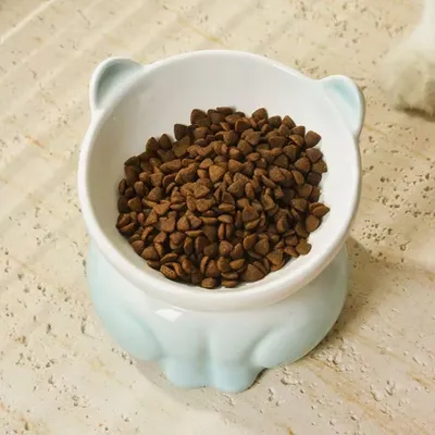 UAMLY Cuenco de cerámica para gatos