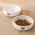 IntiMeg Gamelle en céramique pour chat