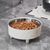Cuencos elevados para comida para gatos
