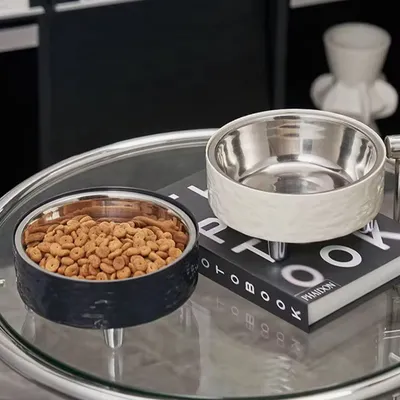 Cuencos elevados para comida para gatos