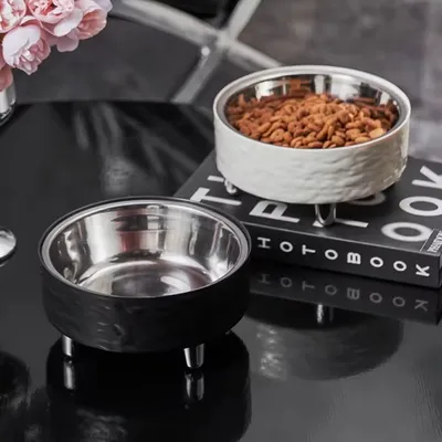 Cuencos elevados para comida para gatos
