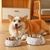 Double Couche pour Animaux de Compagnie