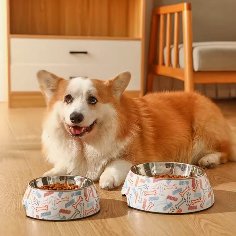 Double Couche pour Animaux de Compagnie