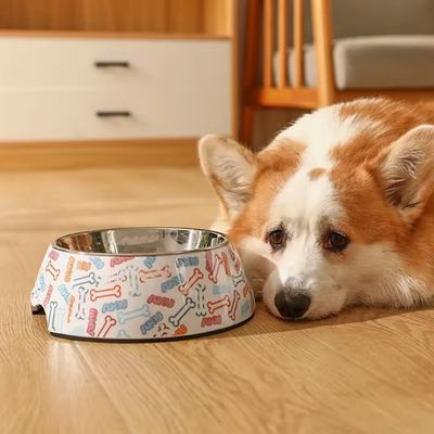 Double Couche pour Animaux de Compagnie