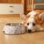 Double Couche pour Animaux de Compagnie