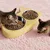 Support d'alimentation Double pour Nourriture pour Chat