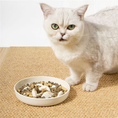 IntiMeg Comedero de alimentación lenta para gatos y perros