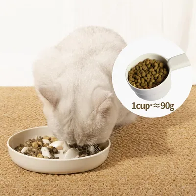 IntiMeg Bol d'alimentation ralentie pour Chats et chiens