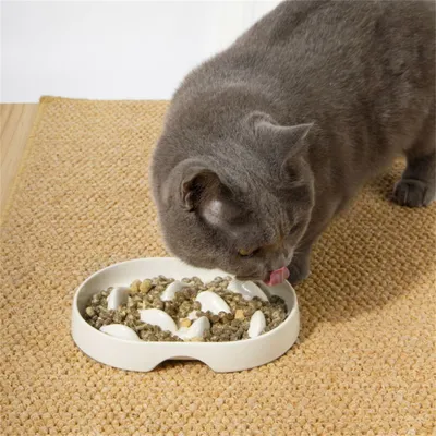 IntiMeg Bol d'alimentation ralentie pour Chats et chiens