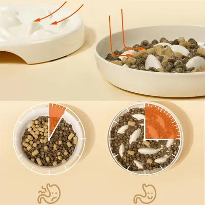 IntiMeg Bol d'alimentation ralentie pour Chats et chiens